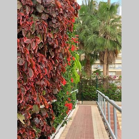 Jardines Del Sur, Ocean View Apartment Buzanada Екстериор снимка